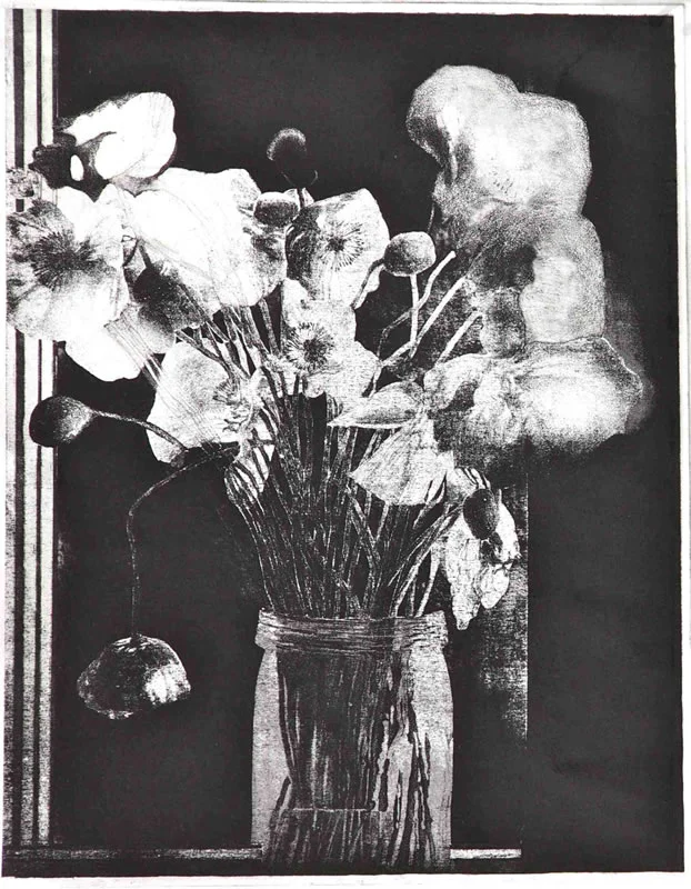 Poppies, Silhouette at night Balmain