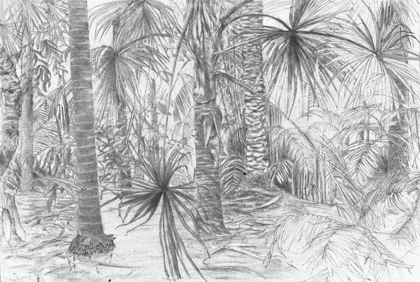 Interior, Botanic Gardens