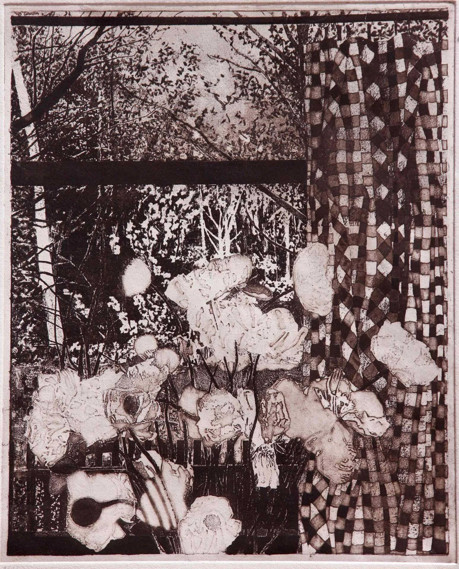The Cherry Blossom
