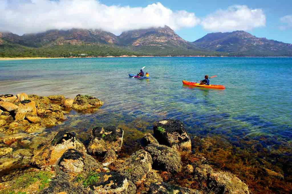 TCT exposes flaws in Freycinet plan changes