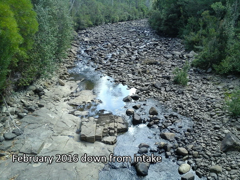 Degradation of the Russell River: an anglers opinion