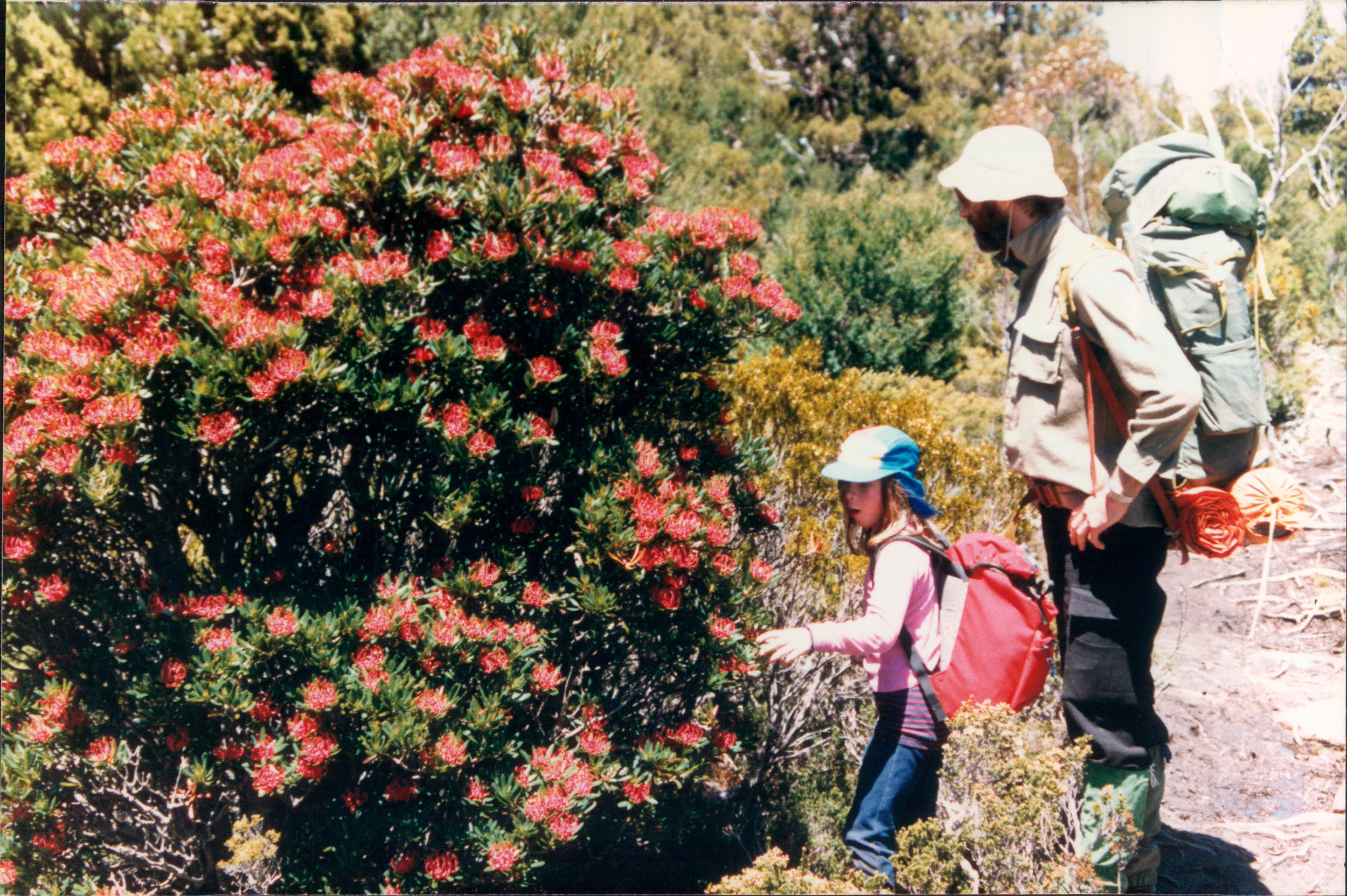 Introducing Heather Cassidy