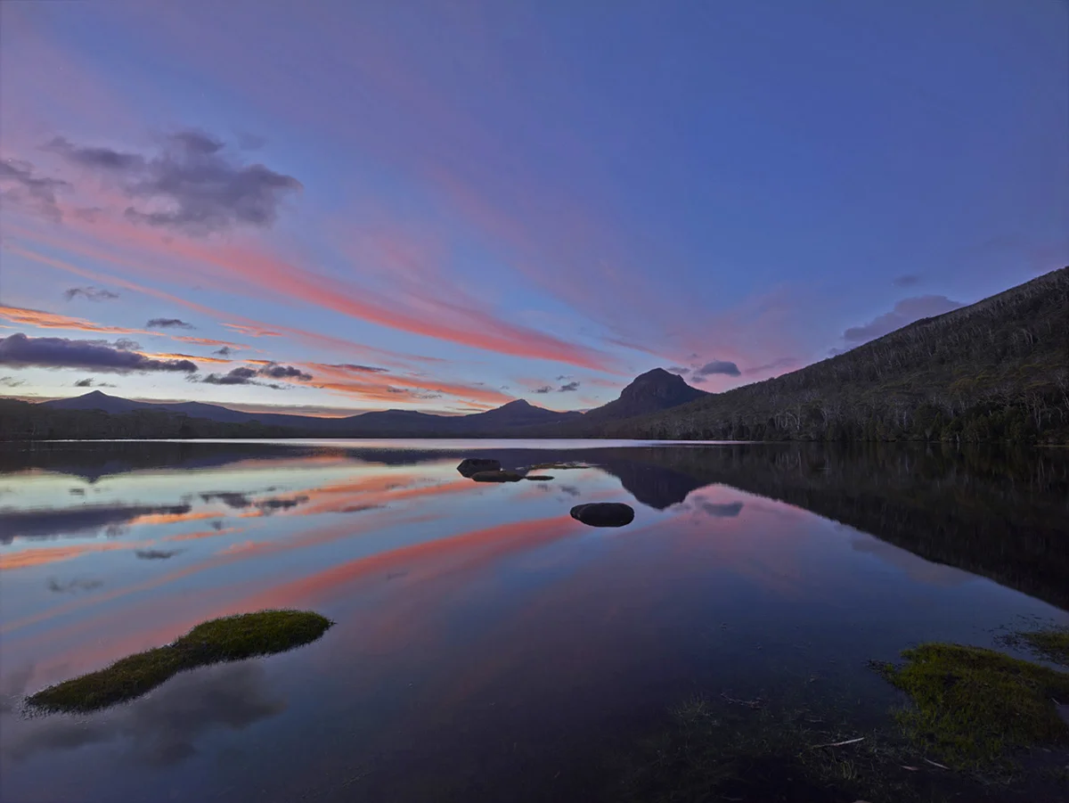 The Tasmanian Conservationist