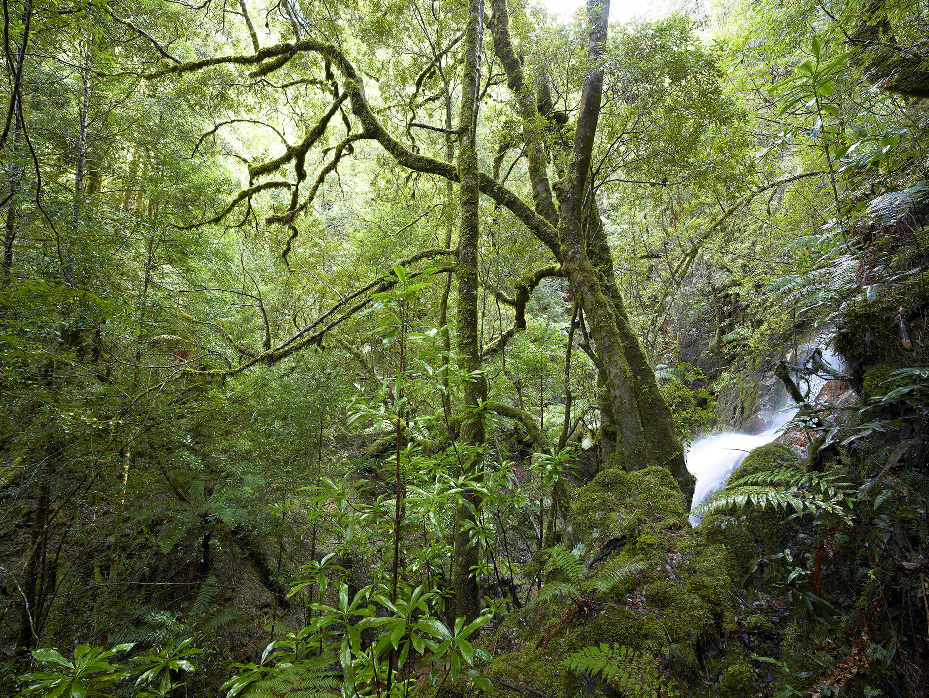 Mt Lindsay open-cut mine site 3.jpg