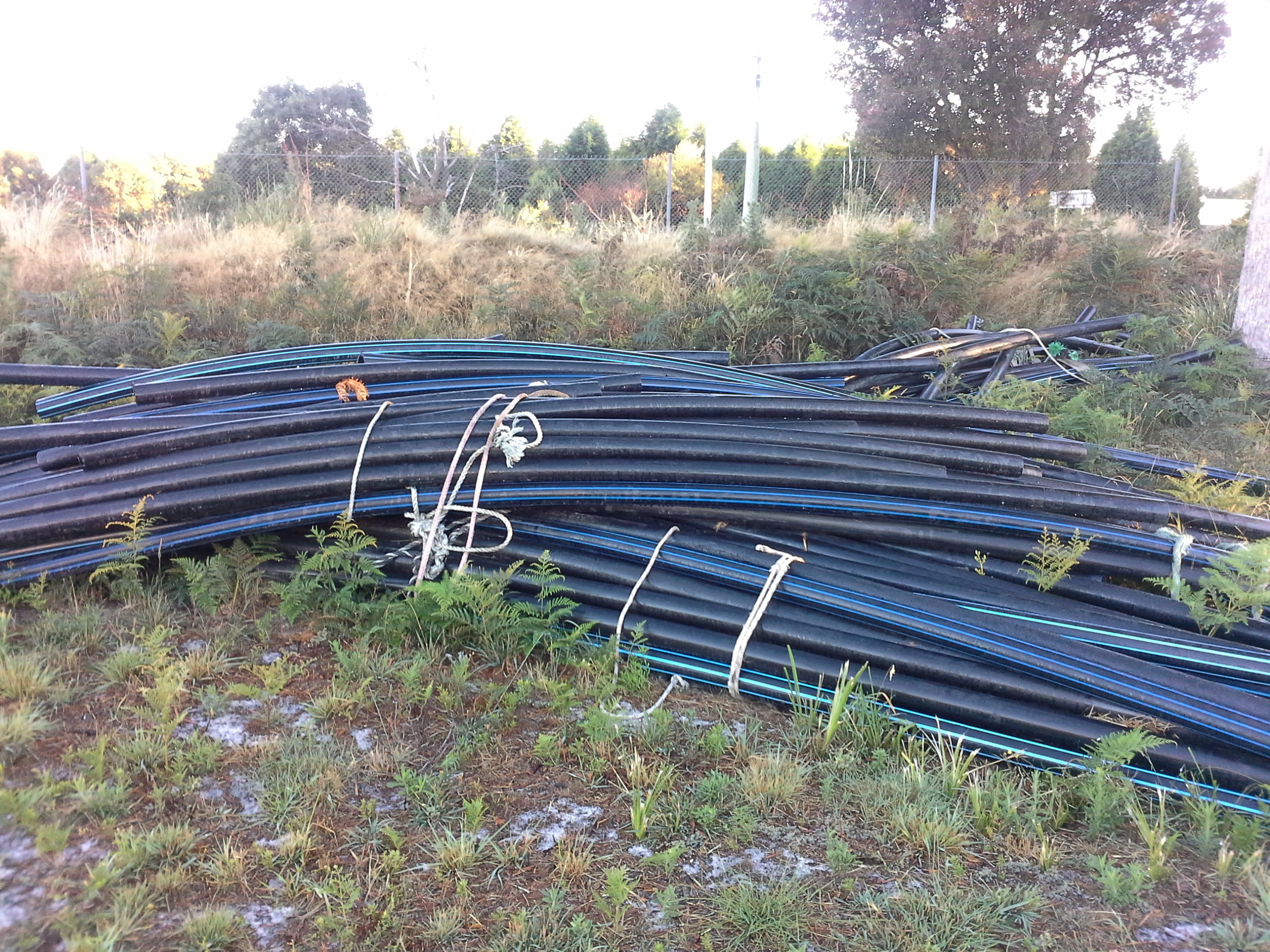 Plastics recycler Envorinex