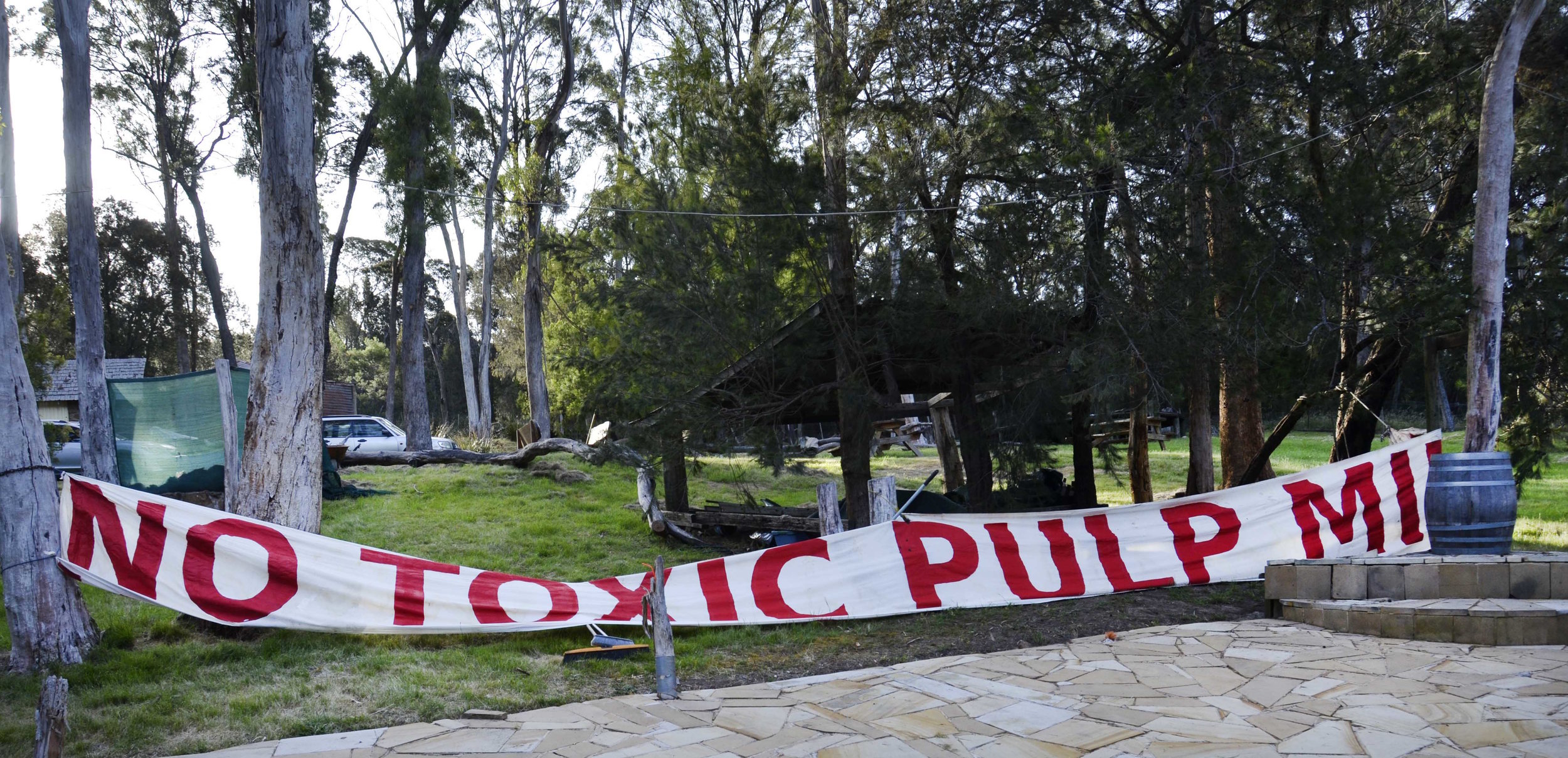 Tamar Valley Pulp Mill is almost dead