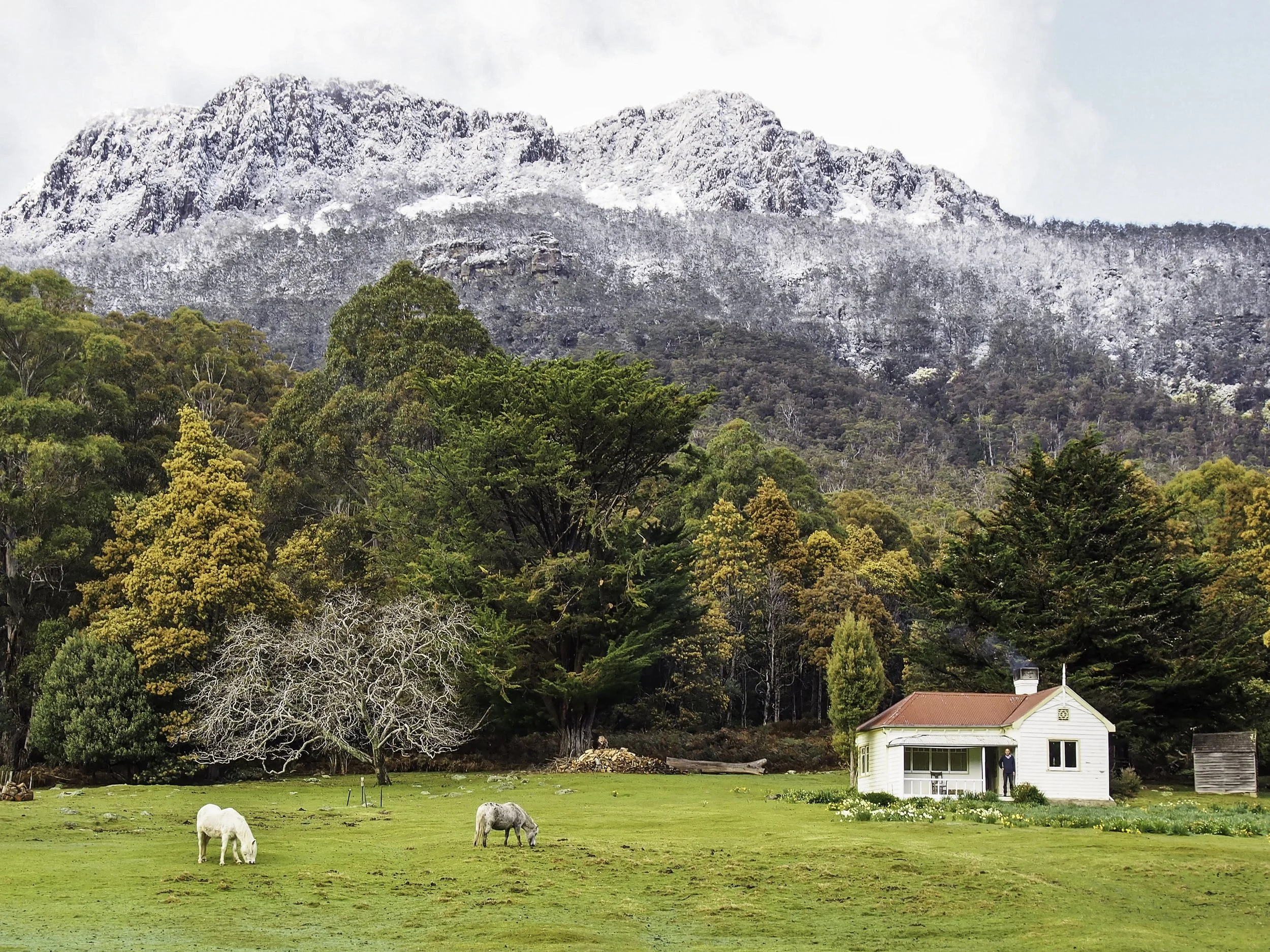 Tasmanian Conservation Trust is 50!!!
