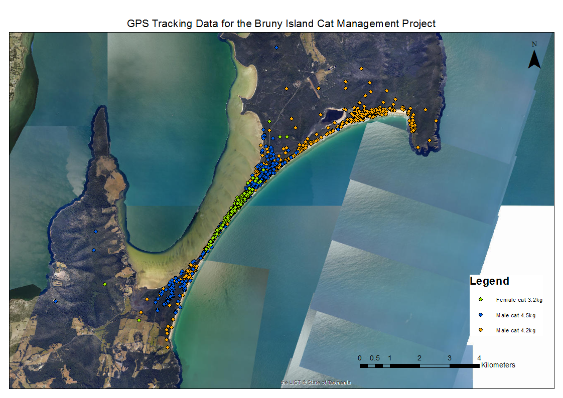 GPS Tracking Data of 3 feral cats at the Neck Game Reserve for the Bruny Island Cat Management Project Image courtesy of DPIPWE, Invasive Species Branch.
