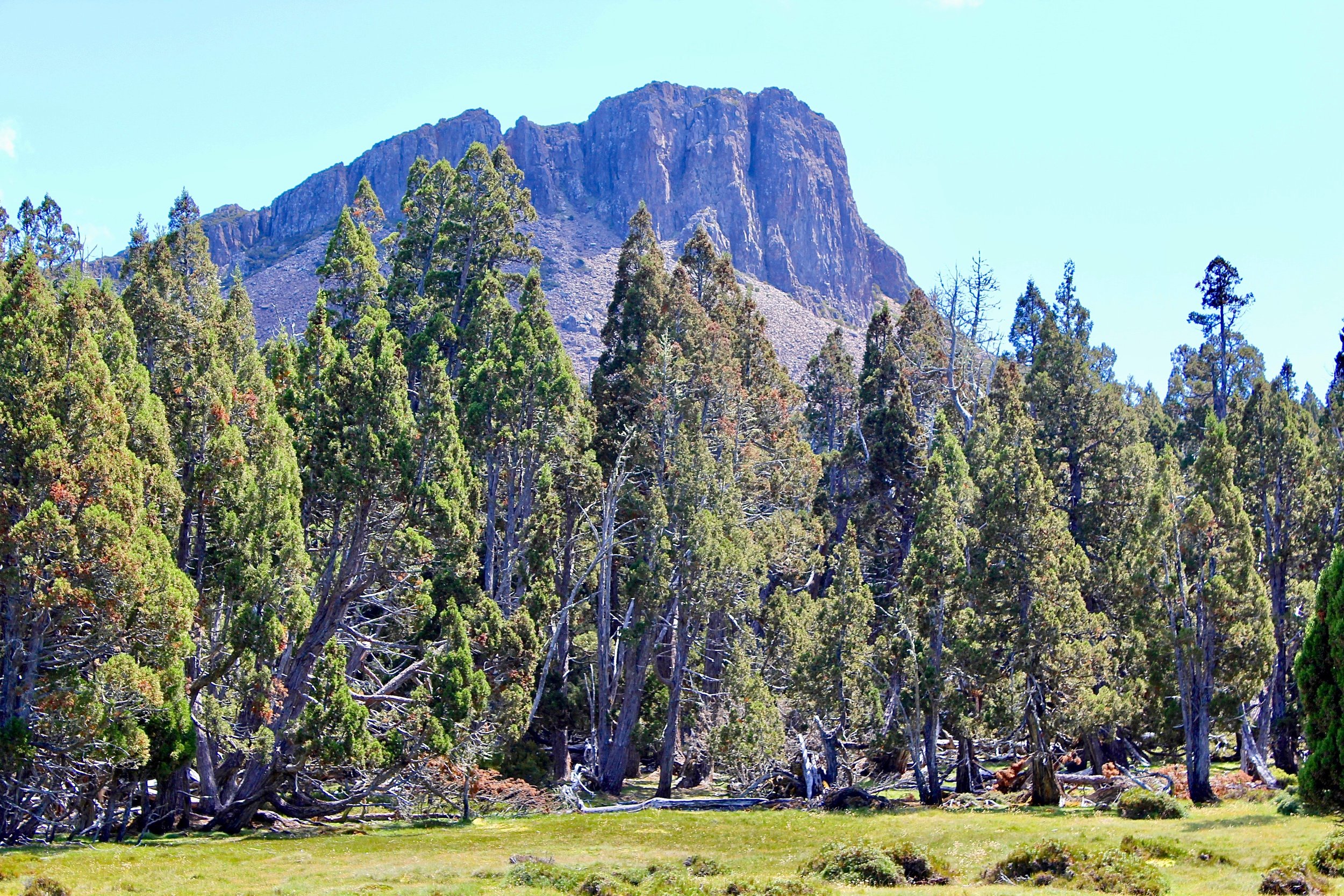Climate Change as a Threat to Tasmania’s Wilderness World Heritage Area: Legal Protections Are Inadequate