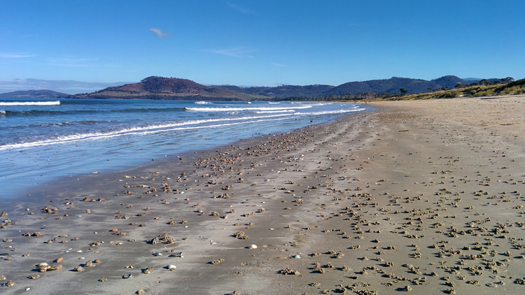 There is something rotten in Clarence City Council