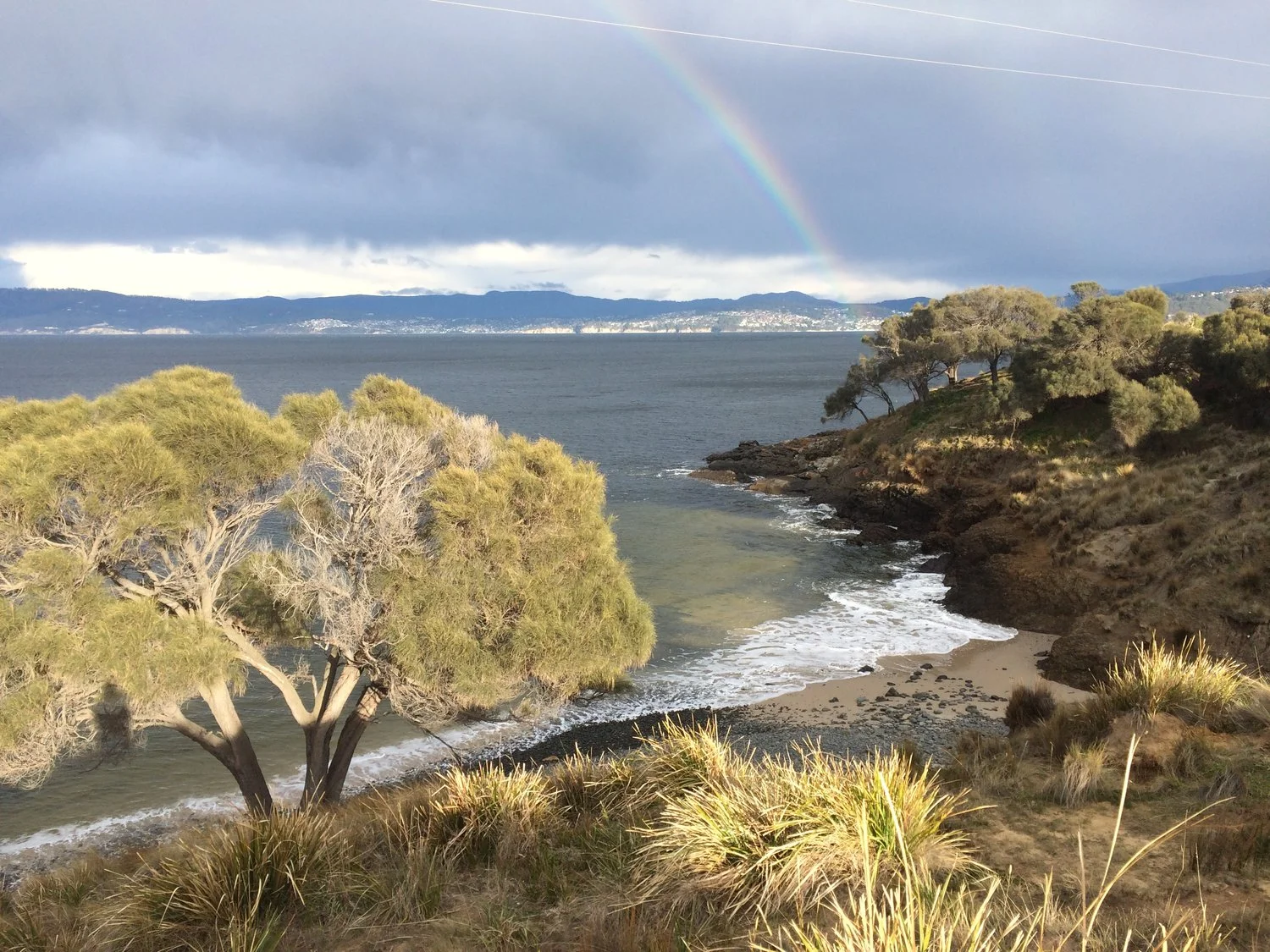 RITE seeks a new vision for Arm End Reserve