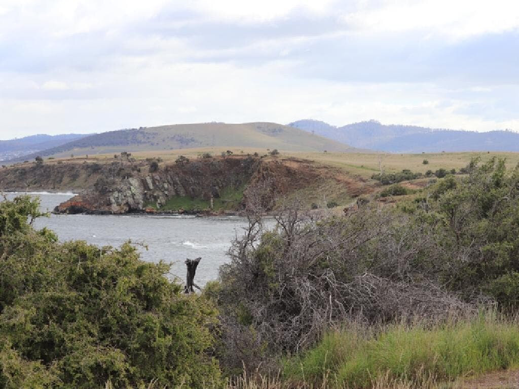 arm end boxthorn.jpg