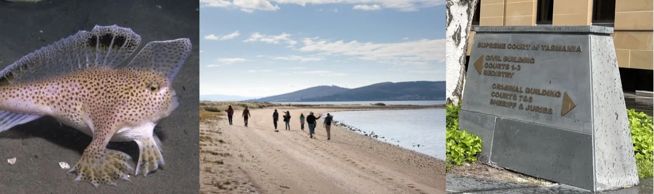 armend banner 3.jpeg