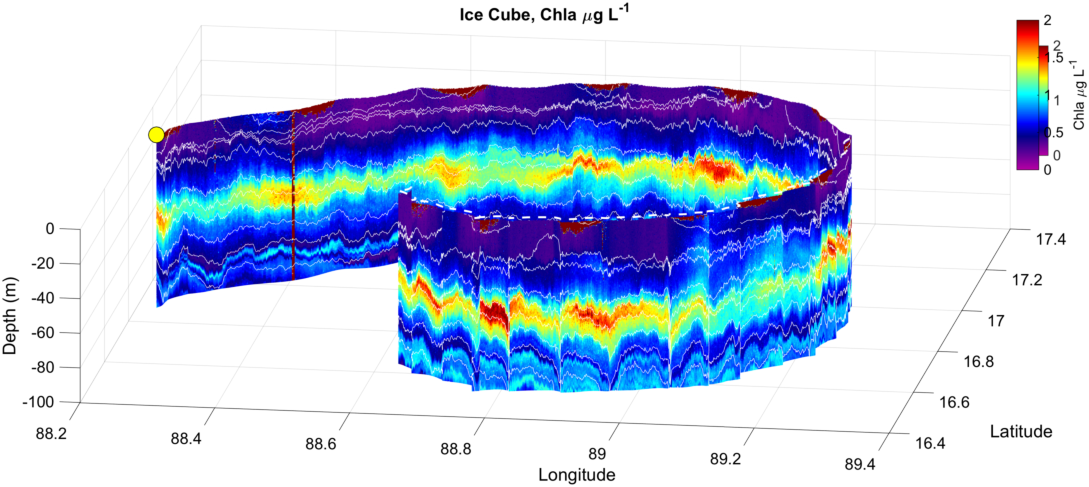 cube_Chla_curtain.png