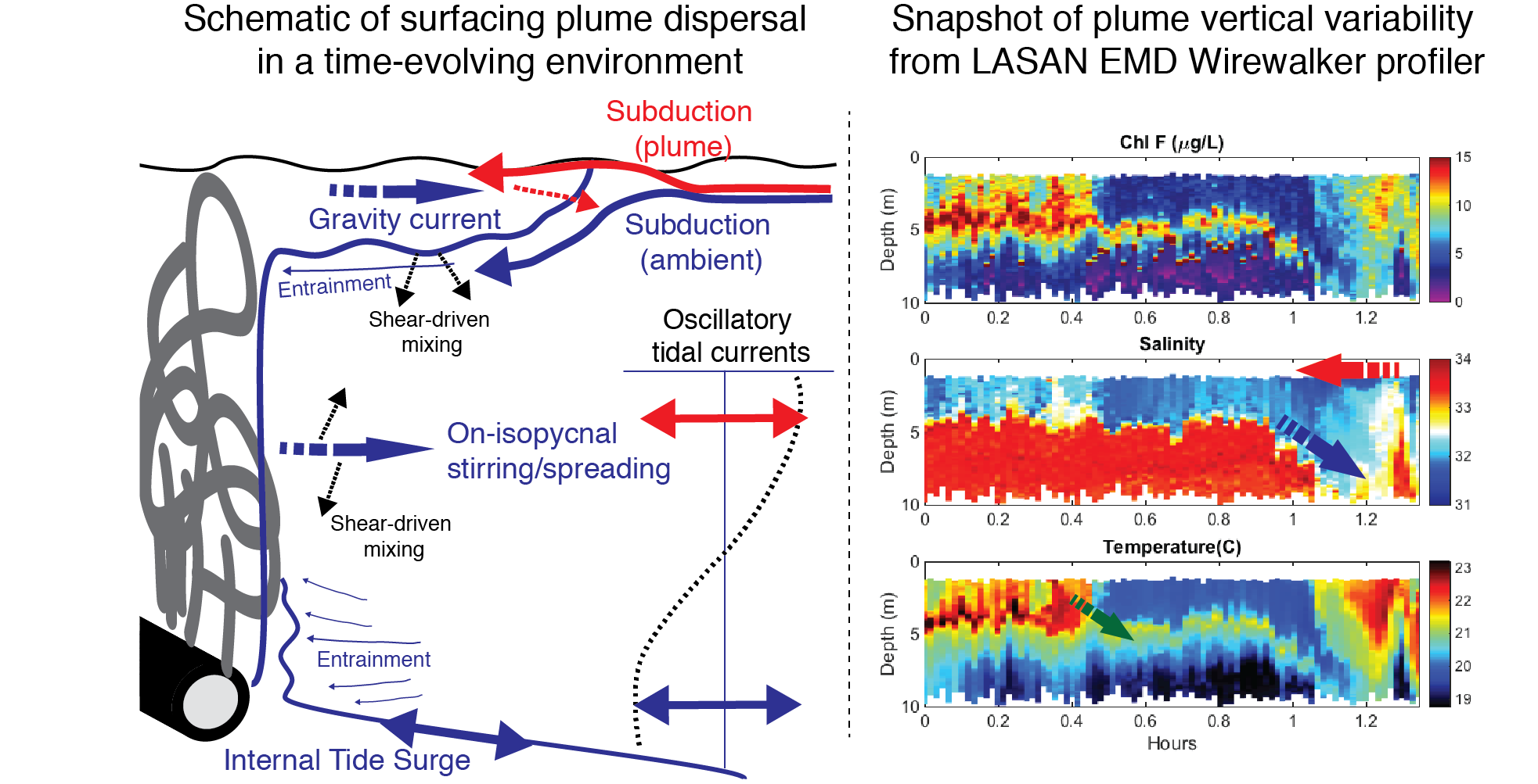 Schematic of plume dispersal pathways in a complex, time-dependent environment.