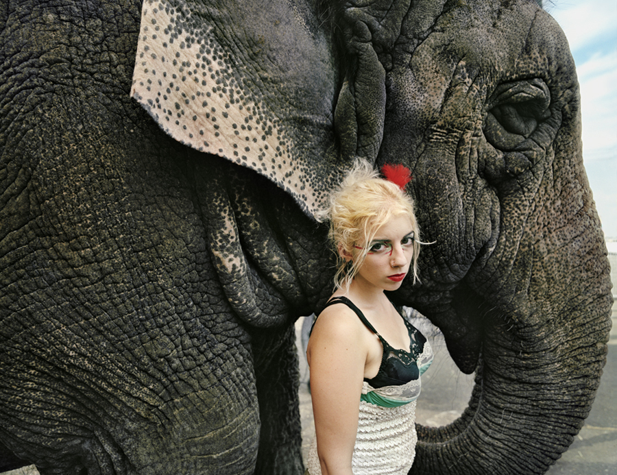 17_Natalie_Elephant_1b_2008v2_WOW_Katz.jpg