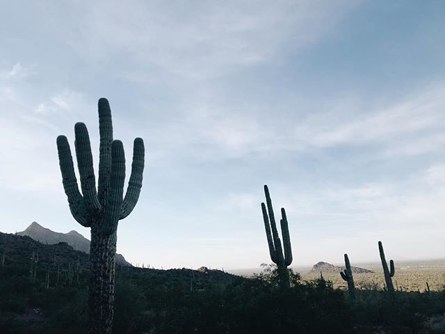 Desert vibes or sometimes I misspell it dessert vibes. Potato. Po-ta-to. .
.
.
.
. .
.
.
.
.
#nature #travel #landscape #sunset #outdoors #mountains #photography #sunrise #naturephotography #hiking #camping #wanderlust #ocean #naturelovers #natgeo #a