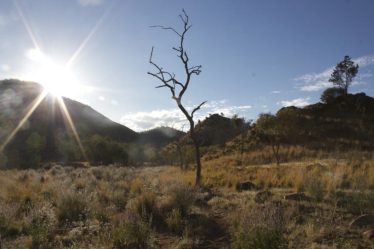 Piltati, a significant site for the wanampi tjukurpa