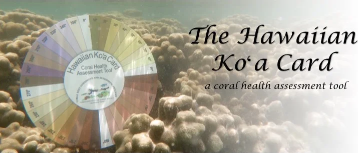 Koa Card flip book.jpg