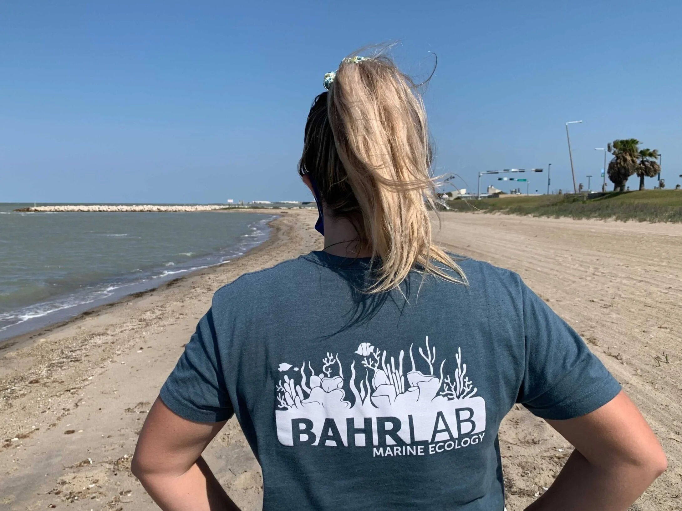 Bahr+Lab+Determination.jpg
