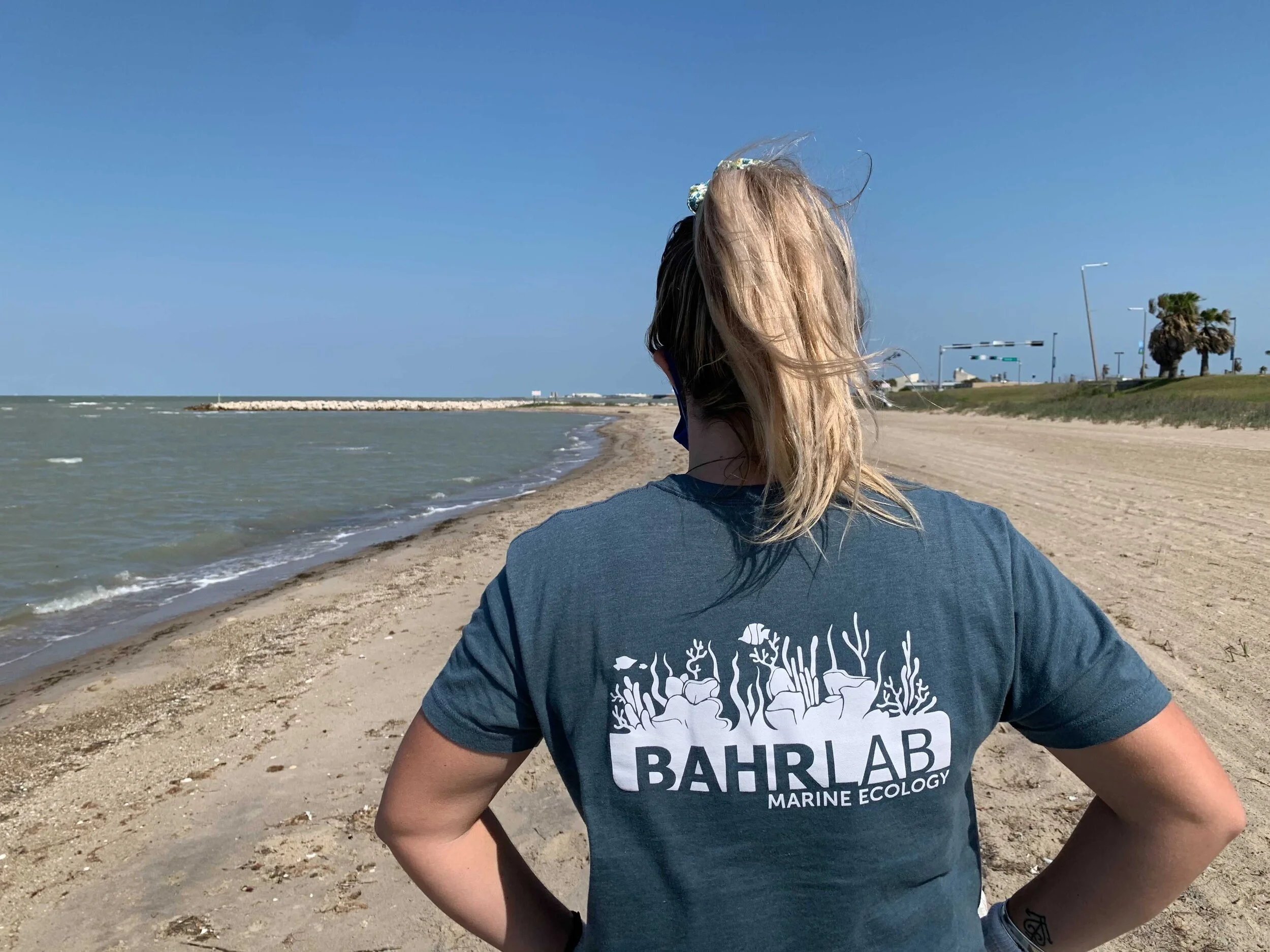 Bahr Lab Determination.jpeg