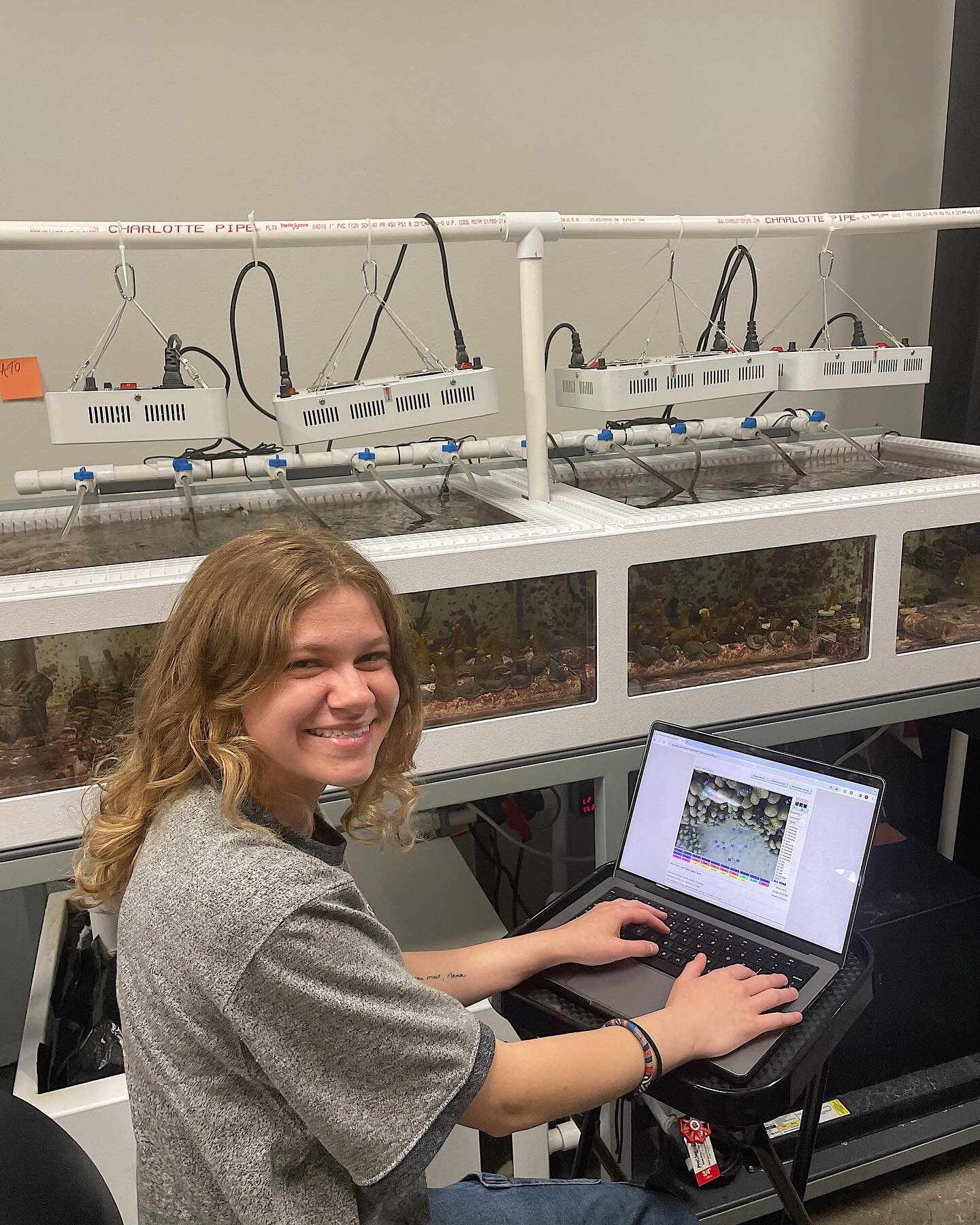 Hello everyone! 🌟

Soleil DeLorge, an undergraduate research intern at the Bahr Lab, is currently working on a Direct Independent Study (DIS). She&rsquo;s working alongside postbaccalaureate Eleanor TenBrink, who is serving as her mentor, and under 