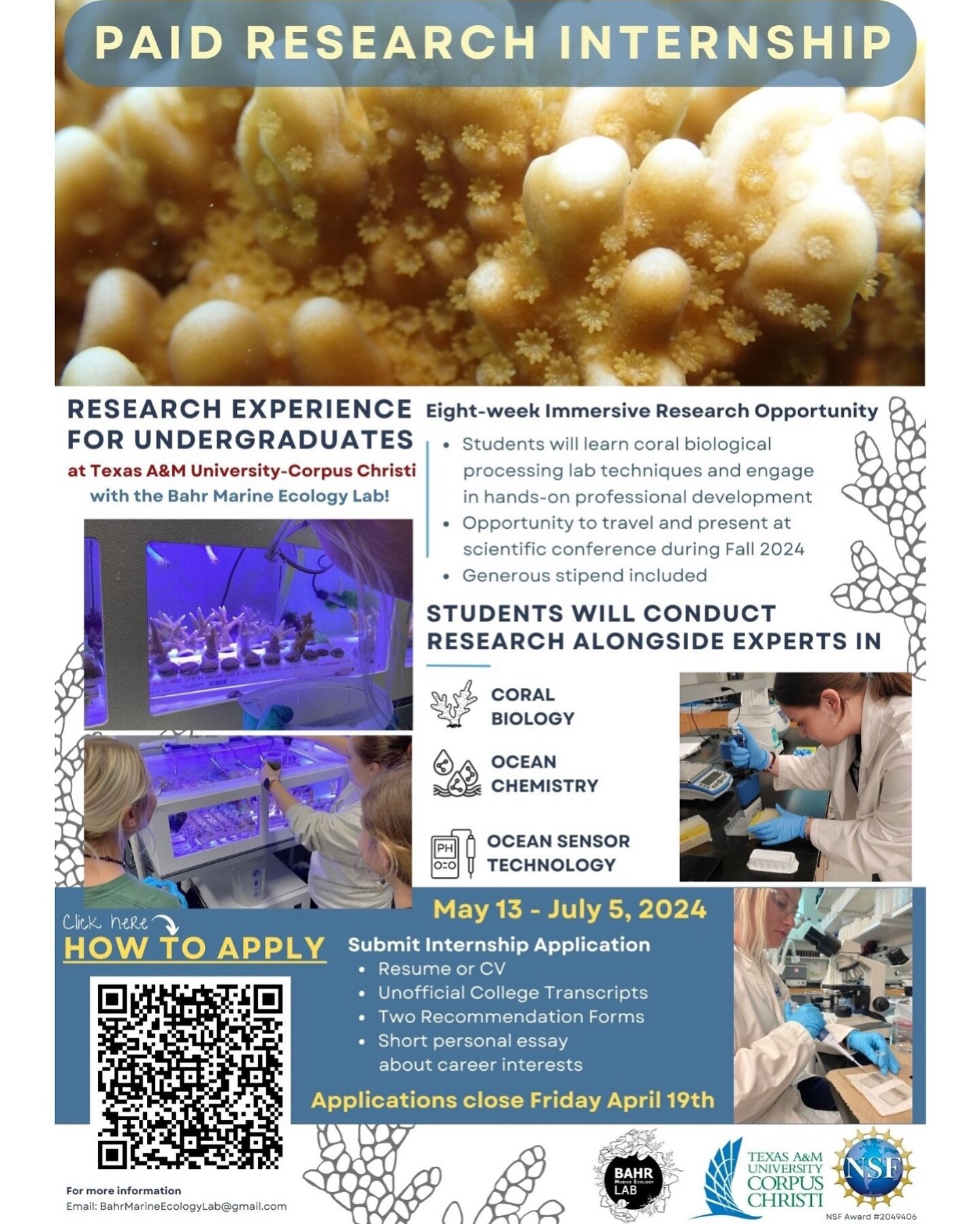 🌟 Paid Summer Research Opportunity! 🌟 

Calling all passionate coral reef undergraduate enthusiasts attending TAMU-CC! 🌊🐠 The Bahr Lab is now accepting applications for our NSF-funded summer internship program. Dive into hands-on research alongsi