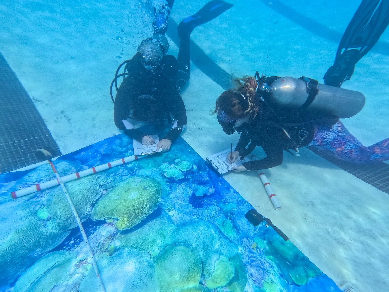 bz--0145-X3.jpg