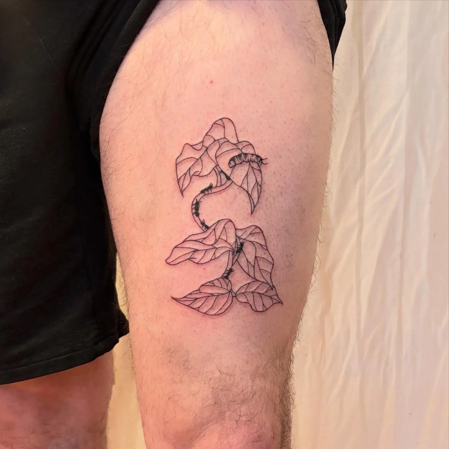 B3CDDD28-50F2-4AB5-A433-80B36B469F07.JPG