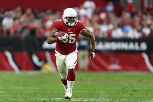 Elijhaa Penny, running back for the Arizona Cardinals, will host a free football clinic for kids Saturday at Excelsior Stadium. He’ll be joined by his brother, Rashaad Penny.