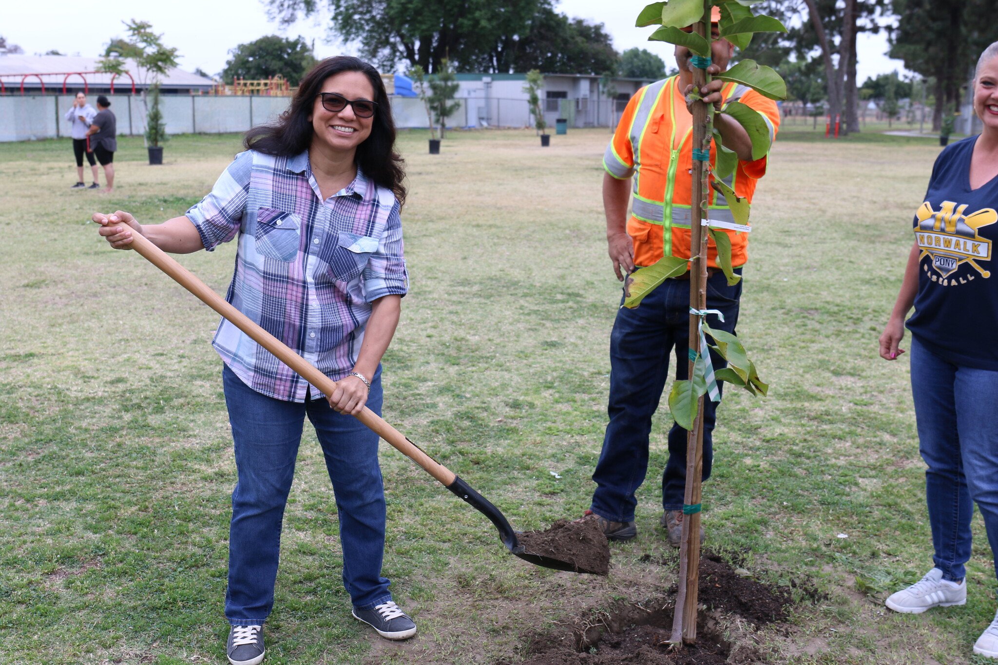Norwalk named a Tree City USA for eighth straight year