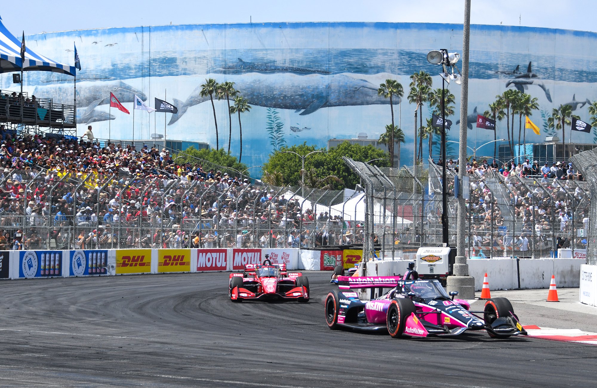 Committee of 300 from Acura Grand Prix of Long Beach