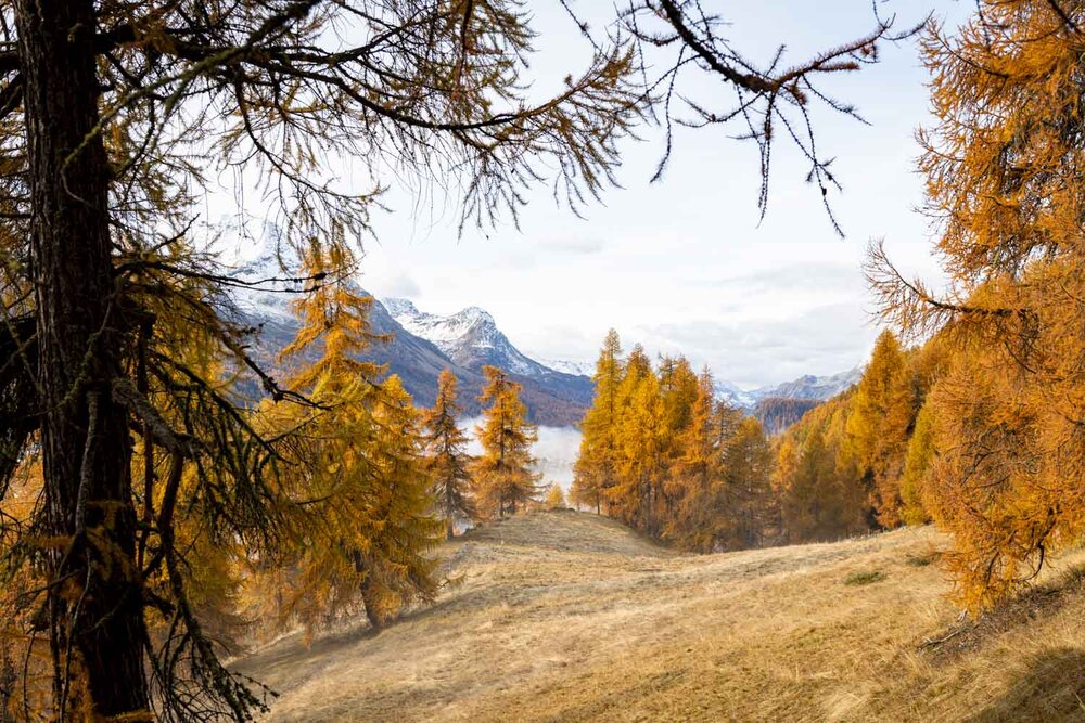 Autumn colors - Goldener Herbst — Martin Ramsauer Photography