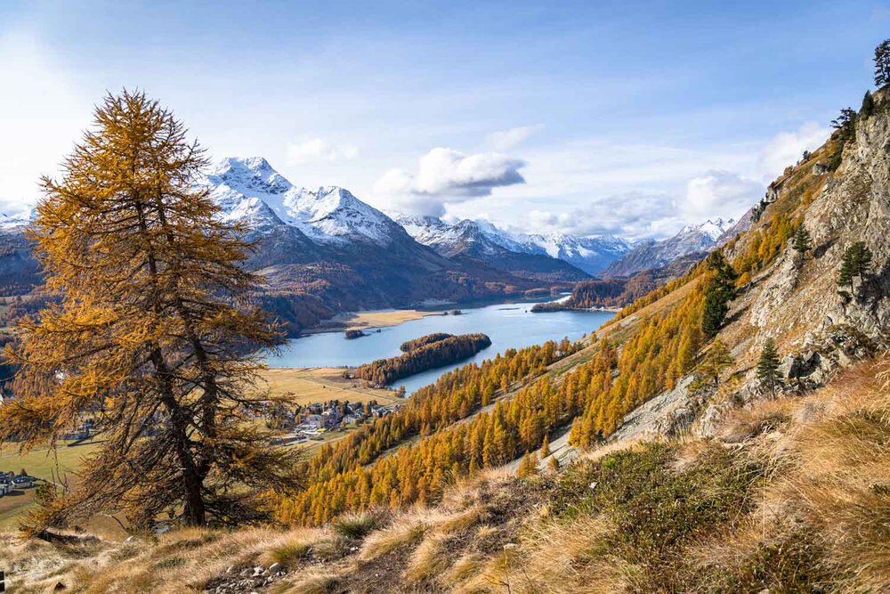 Autumn colors - Goldener Herbst — Martin Ramsauer Photography