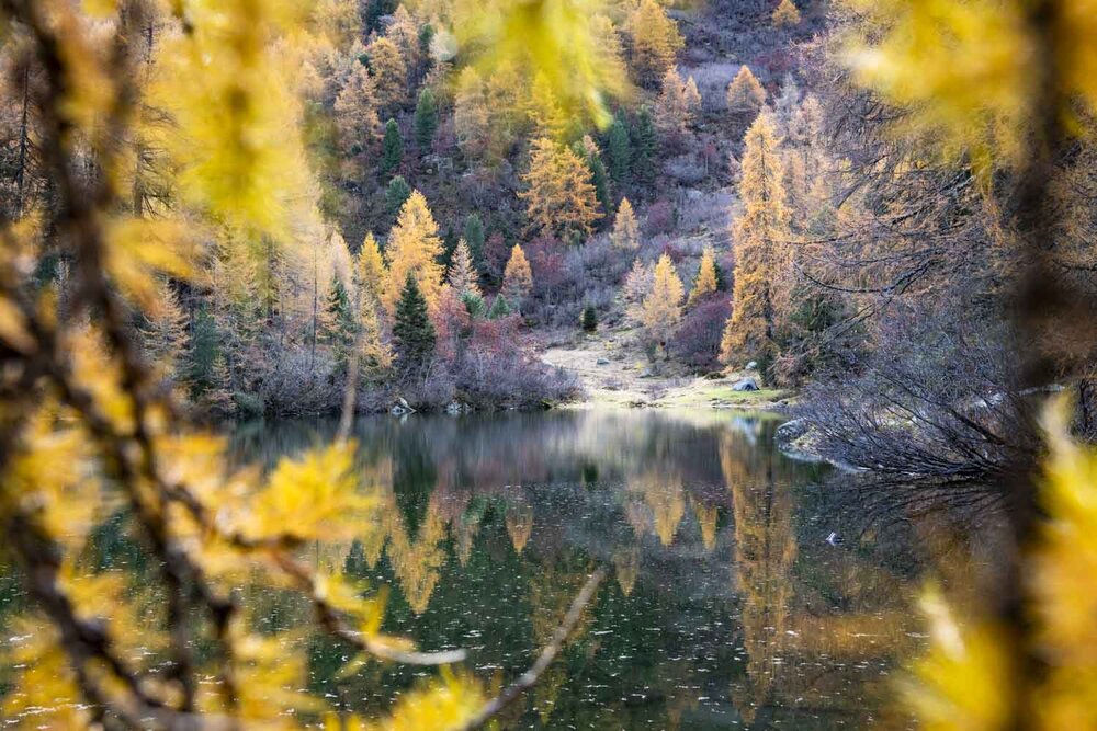 Autumn colors - Goldener Herbst — Martin Ramsauer Photography