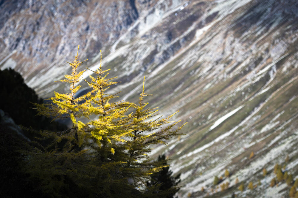 Martin_Ramsauer_Engadin_Herbst20_MRP0148.jpg