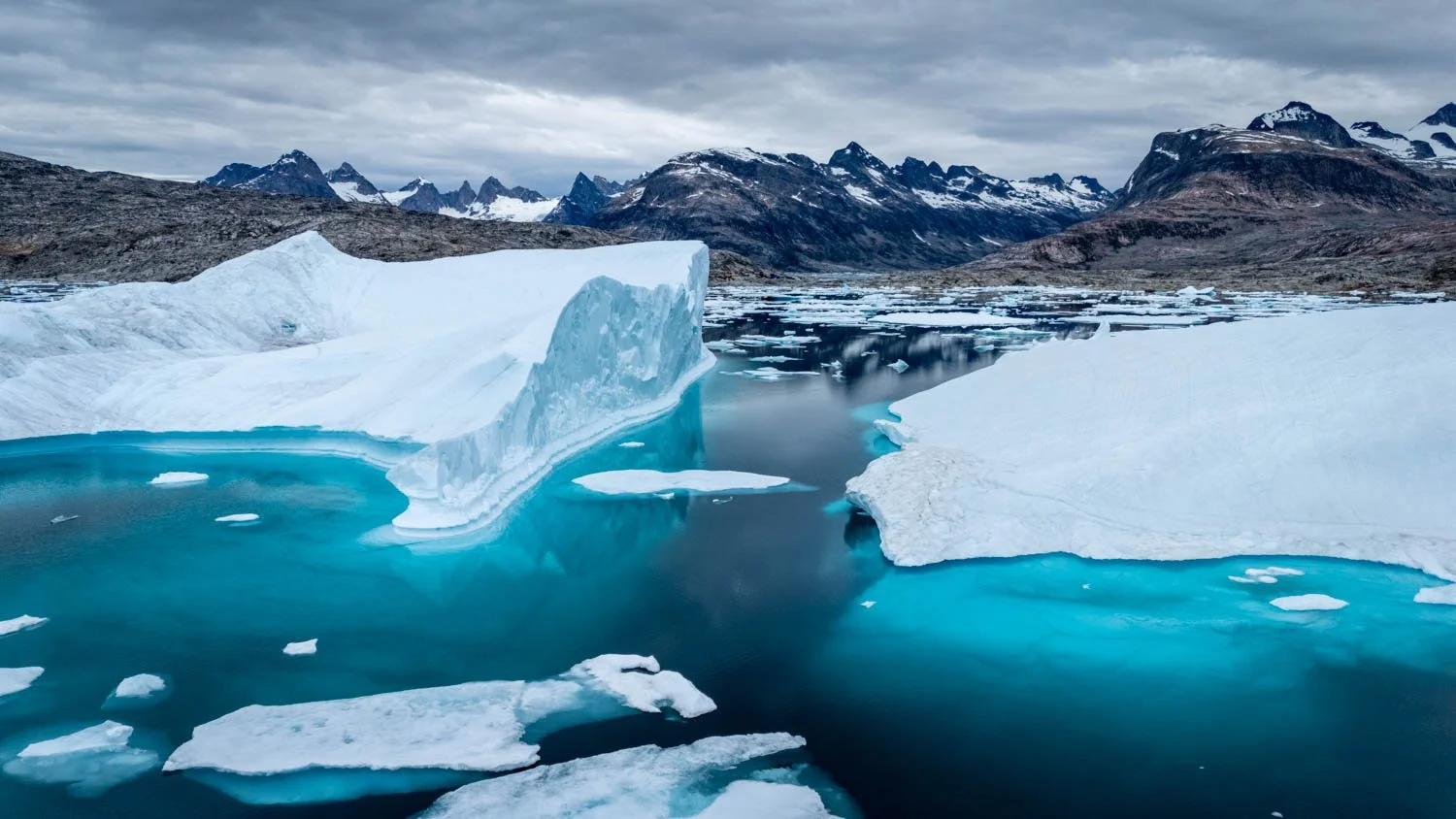 Riesige Eisberge im Serilik-Fjord (Drohnenaufnahme von Martin Ramsauer)