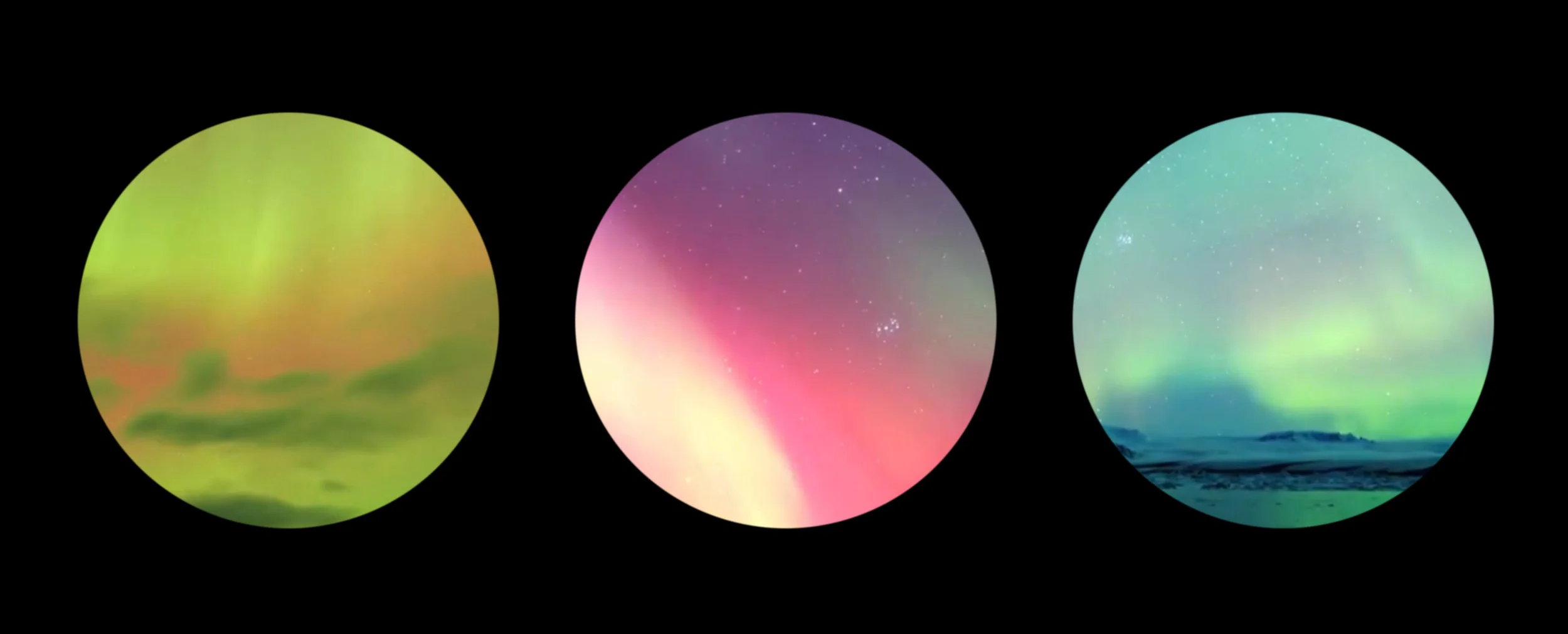 Wonderland - Navigator影像截圖 組圖.jpg