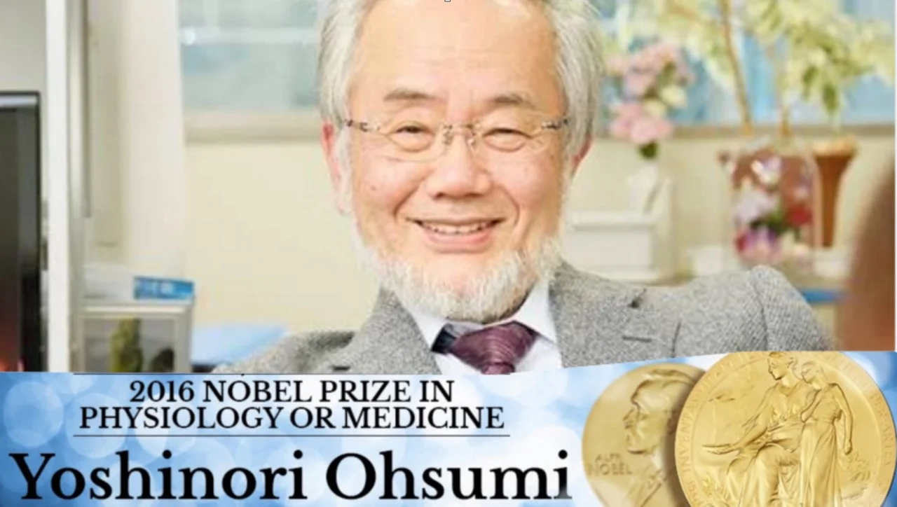 nobelpreis.jpg