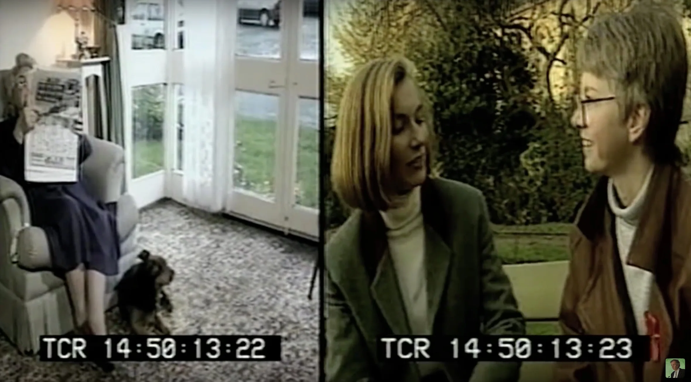 Telepathie zwischen Hund und Mensch - im Experiment belegt