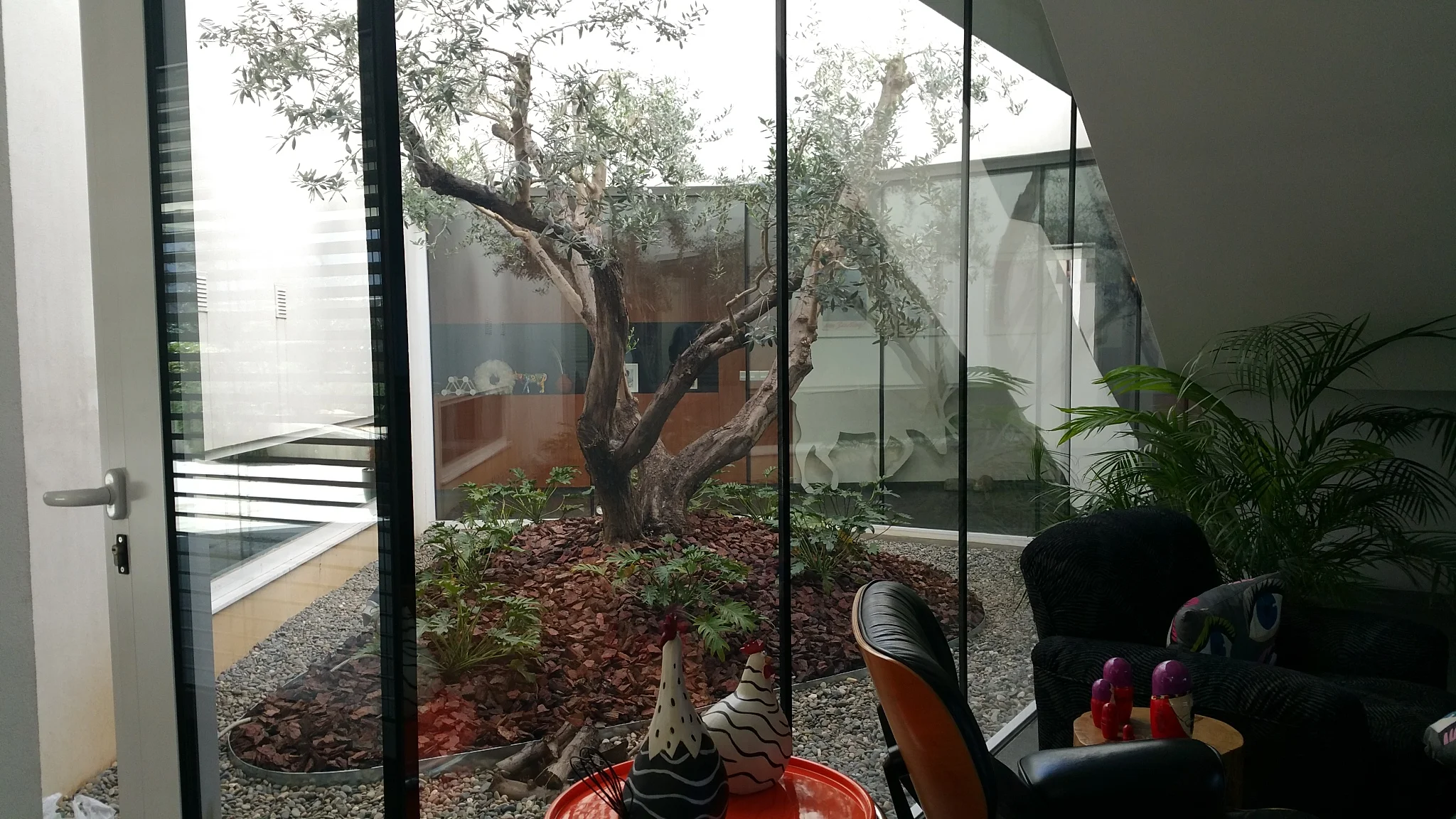 20160310_132005.jpg