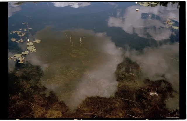 Sv anevannet , inkjet print, 90 x 160 cm Fra serien 50 milliarder mikrogram (2014)