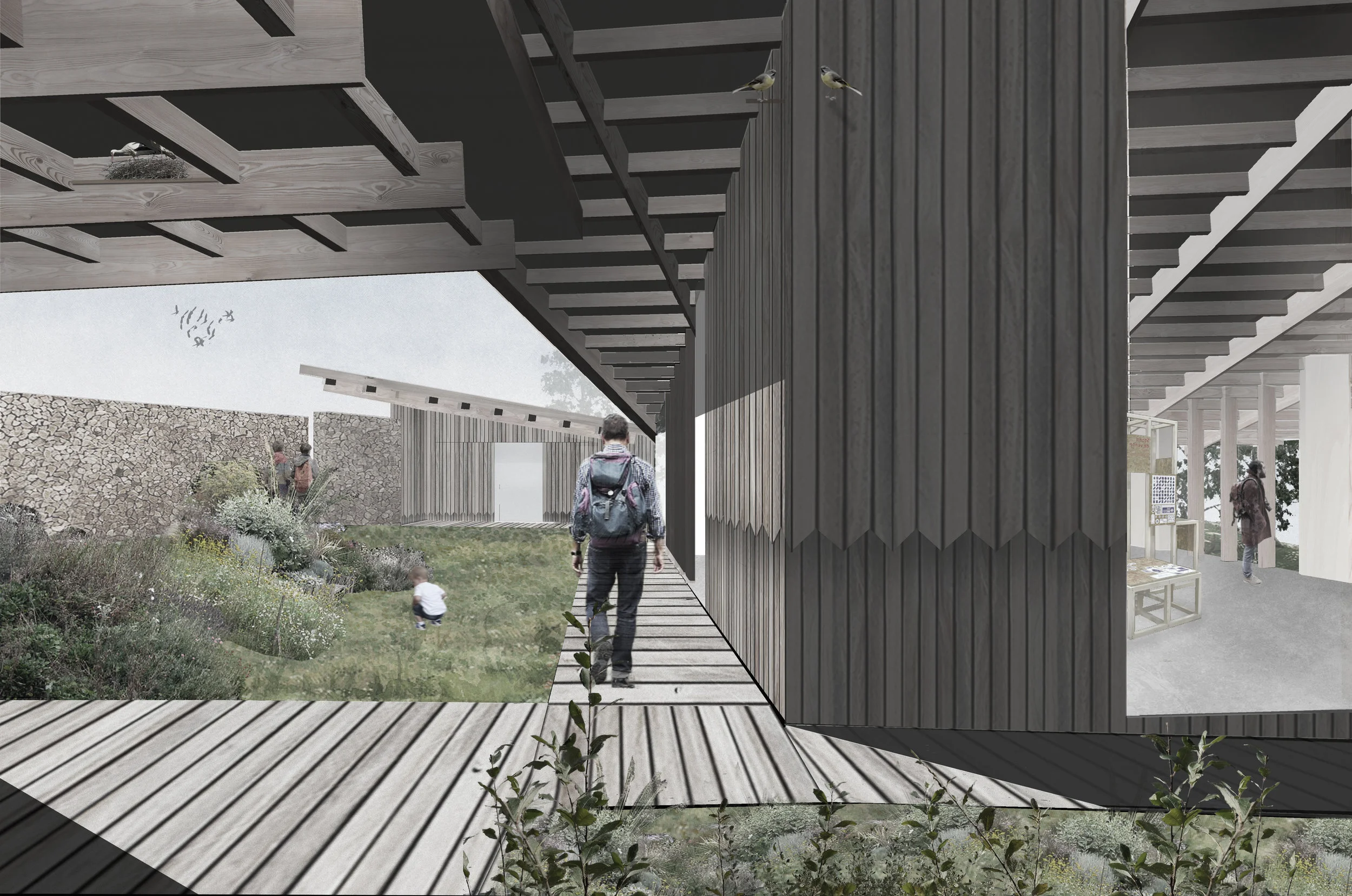 MOCT_Sevenoaks Nature & Wellbeing Centre_courtyard elevation1.jpg