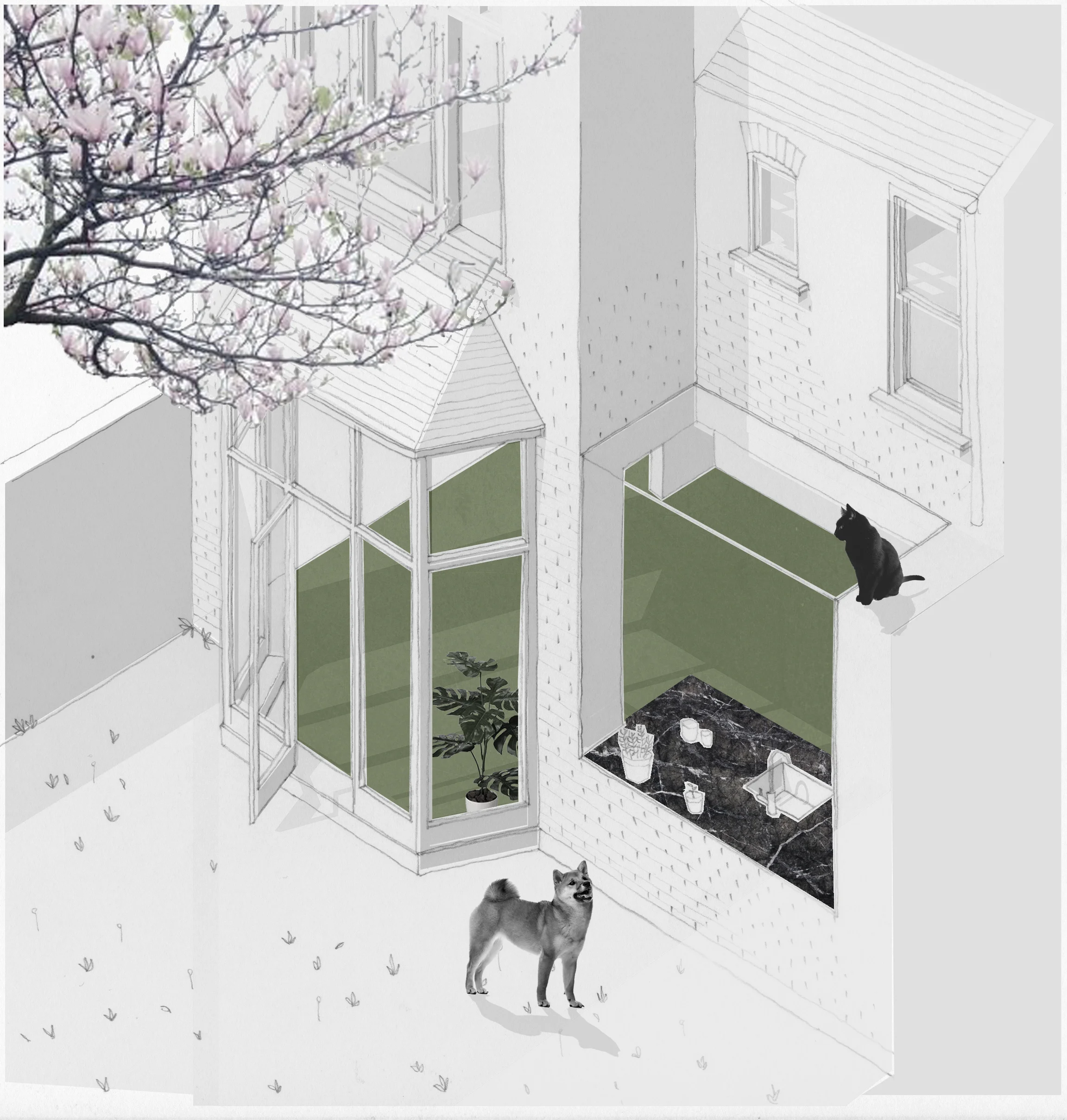 MOCT_house extension_sylvester rd_external view.jpg