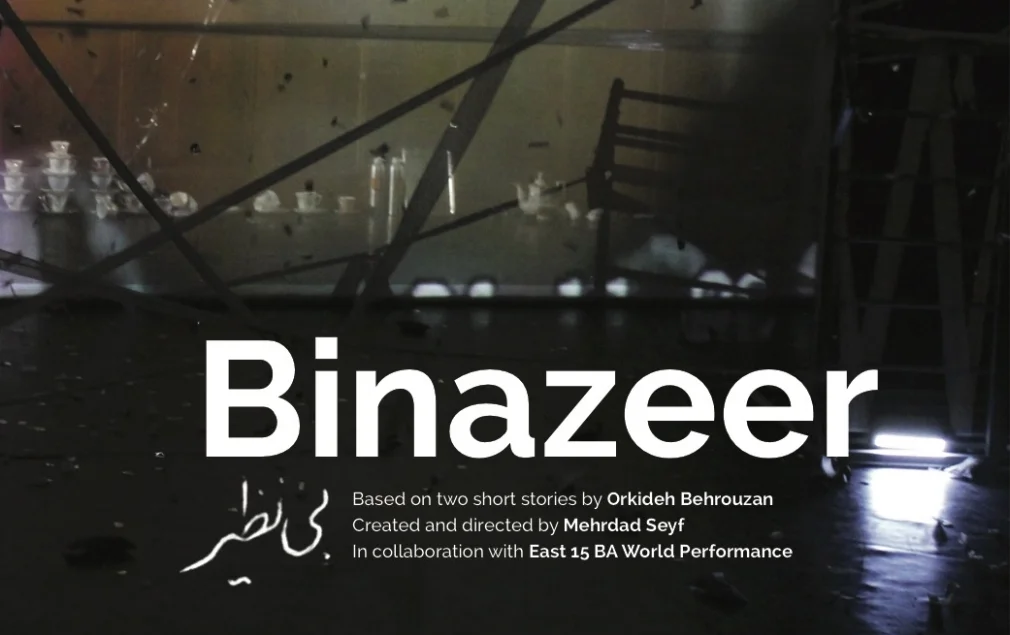 Binazeer Brochure.jpg