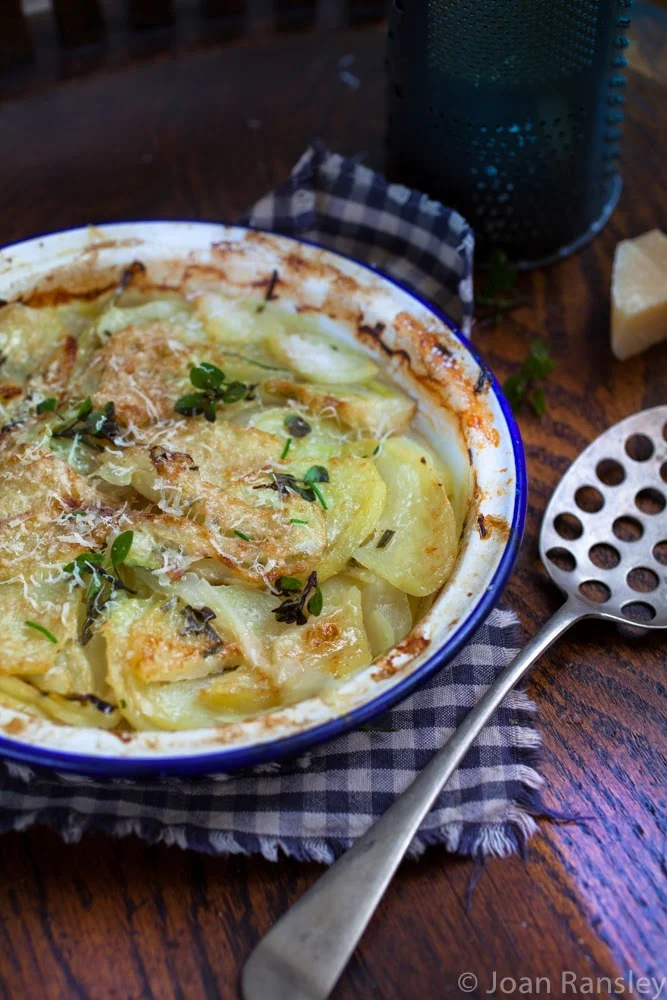 Fennel gratin