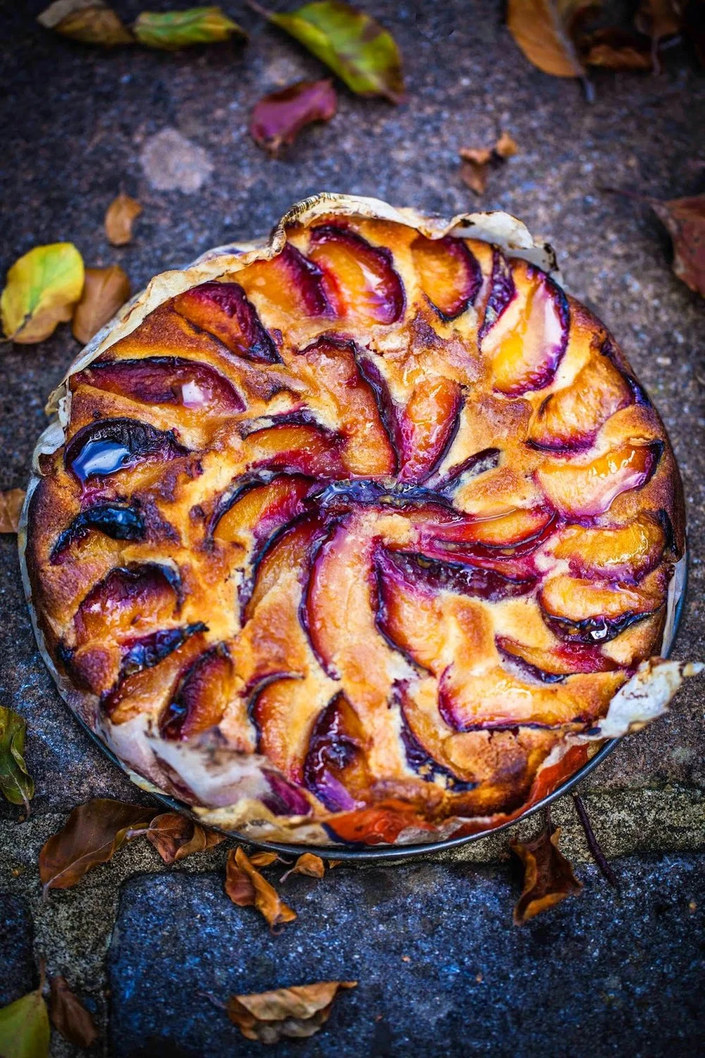 Buttermilk and almond plum cake with a warm honey glaze
