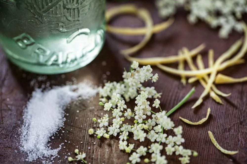 Elderflower Champagne