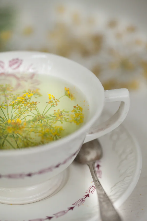 Fennel tea