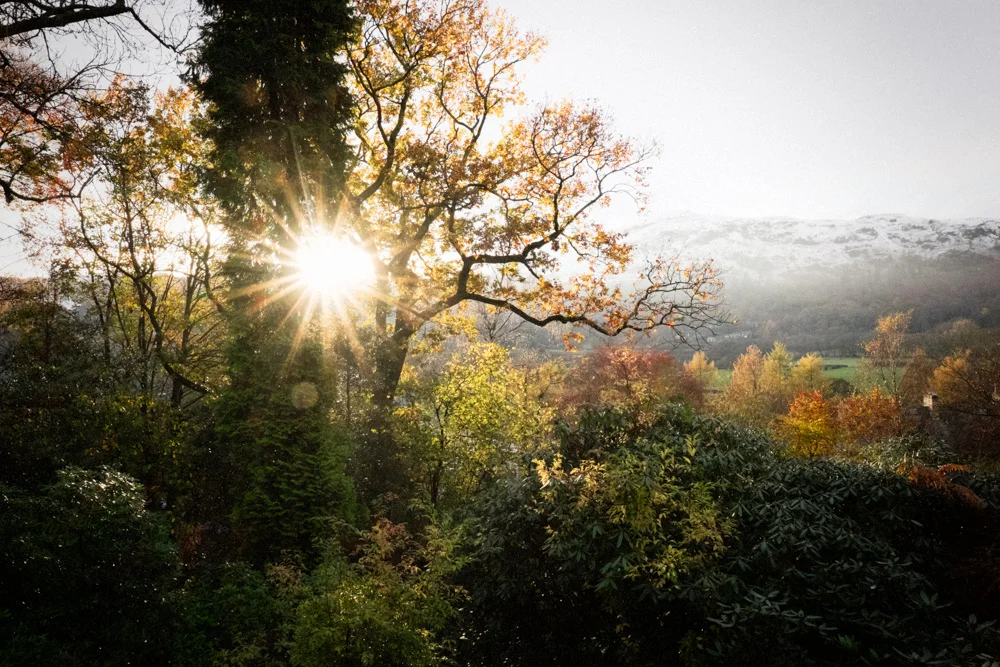 Overlooking Grasmere, Cumbria